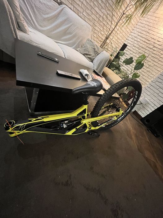 Yt capra (s) 2017 (frameset)