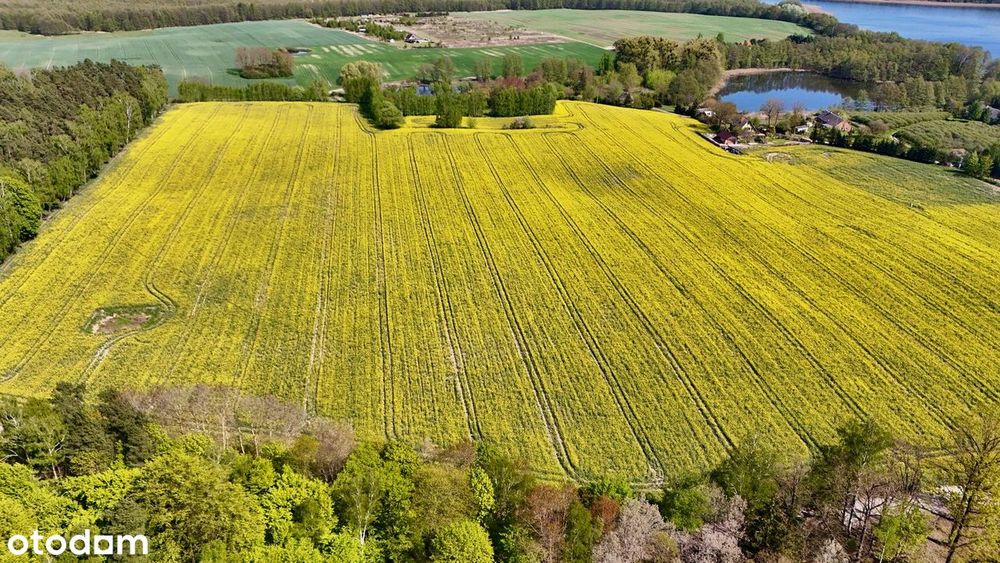 DZIAŁKA Budowlana Nad Jeziorem Stelchno - Więcej