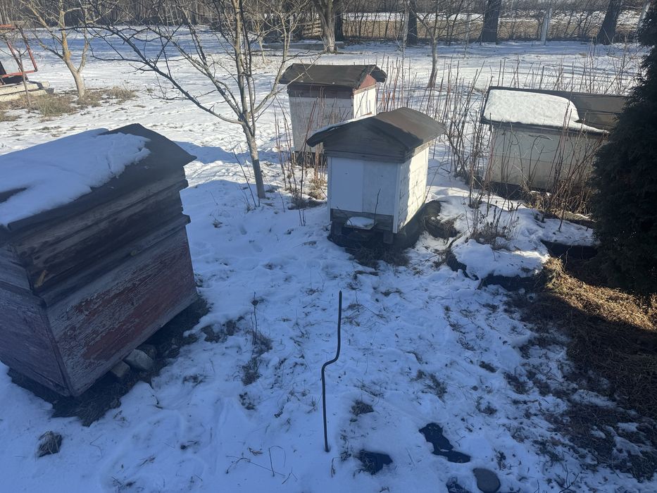 Вулики, вулик Бджолині хатки.