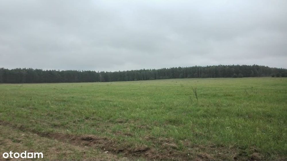Mazury -Działki całoroczne od 1000m² | 2h od Warszawy