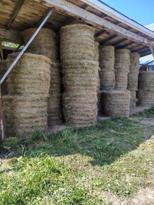 Bale siana suchego