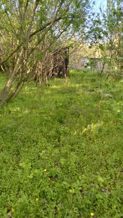 Продаж Ділянки  35 сот. с. Копачів, м . Обухів 14 км