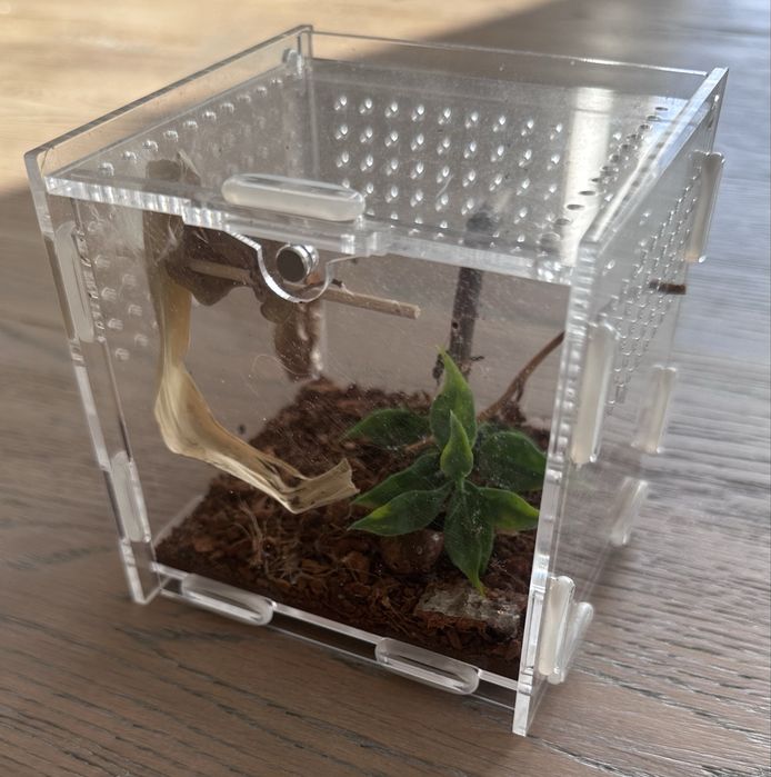 Terrarium 10x10x10cm