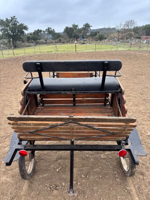 Charrete para cavalo