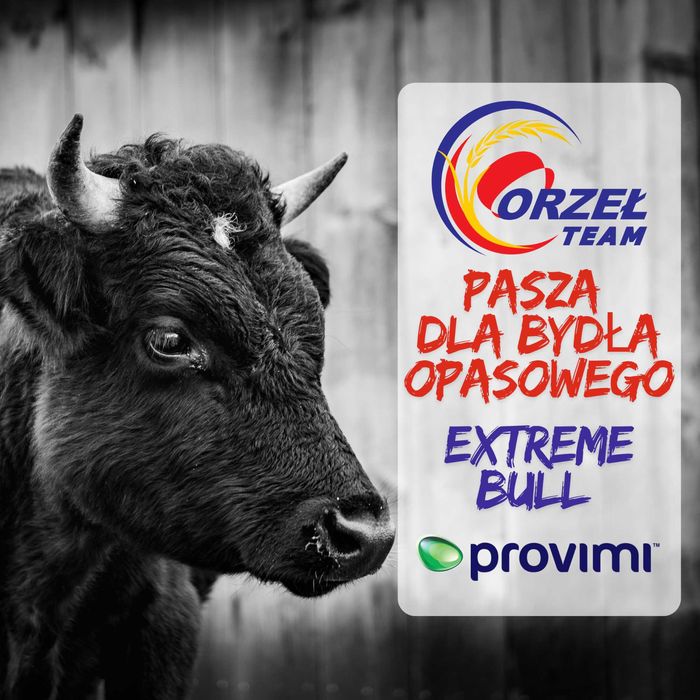 Pasza pełnoporcjowa dla bydła opasowego ExtremeBull, Provimi. opasy
