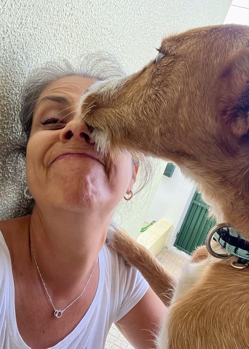 Dog walking e Pet sitting ao domicílio -