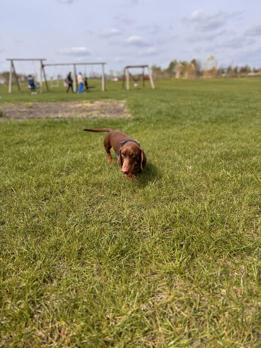 Шукаємо подружку
