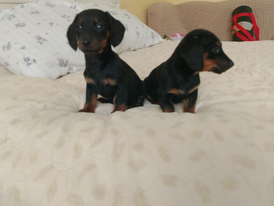 Такси 2 місяца...