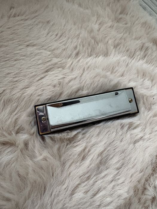 harmonijka ustna instrument