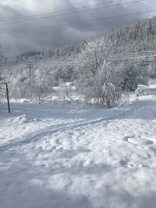 Відпочинок в Карпатах! Котедж с.  Микуличин!