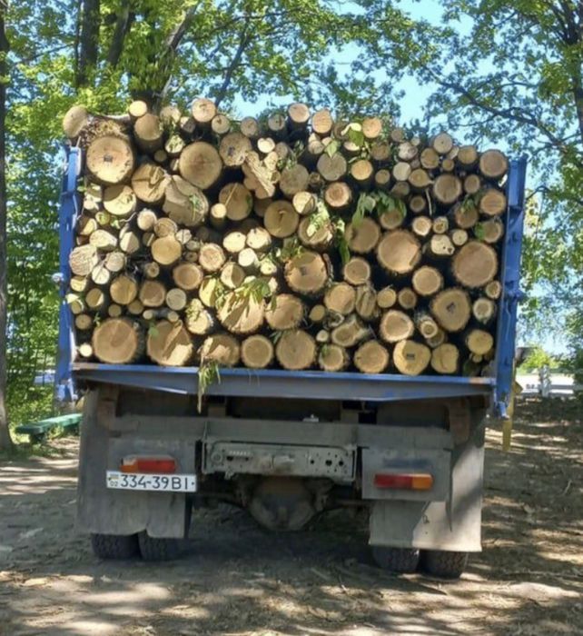 Дрова дуб колоті/ Кращі ціни для населення