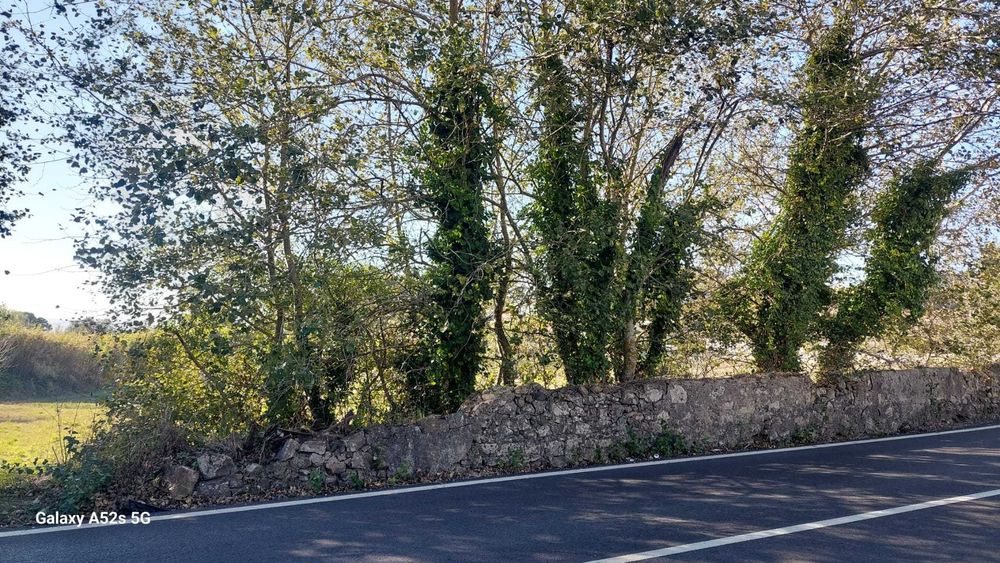 Terreno Urbano Sabugo / Vale de Lobos