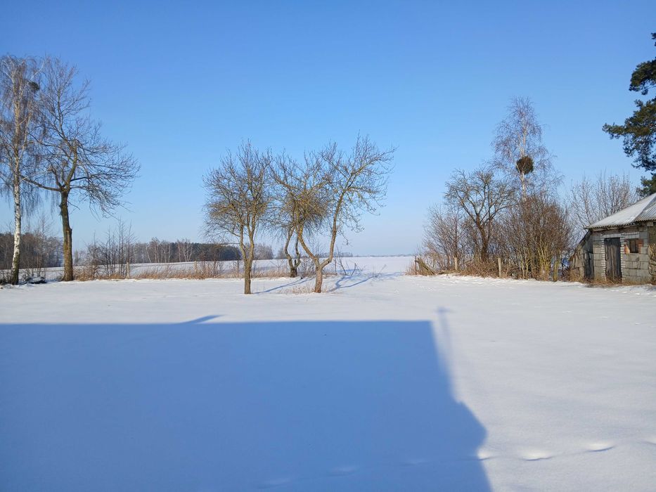 Sprzedam siedlisko blisko lasu.