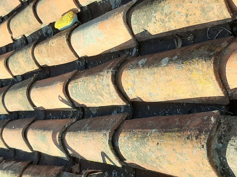 Vende-se grampos / ganchos para telhas de canudo