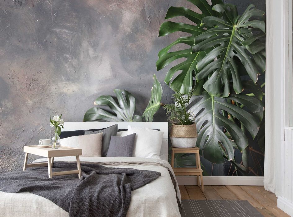 Fototapeta Liście Monstera Beton Do Pokoju 3D Na Twój Rozmiar + KLEJ