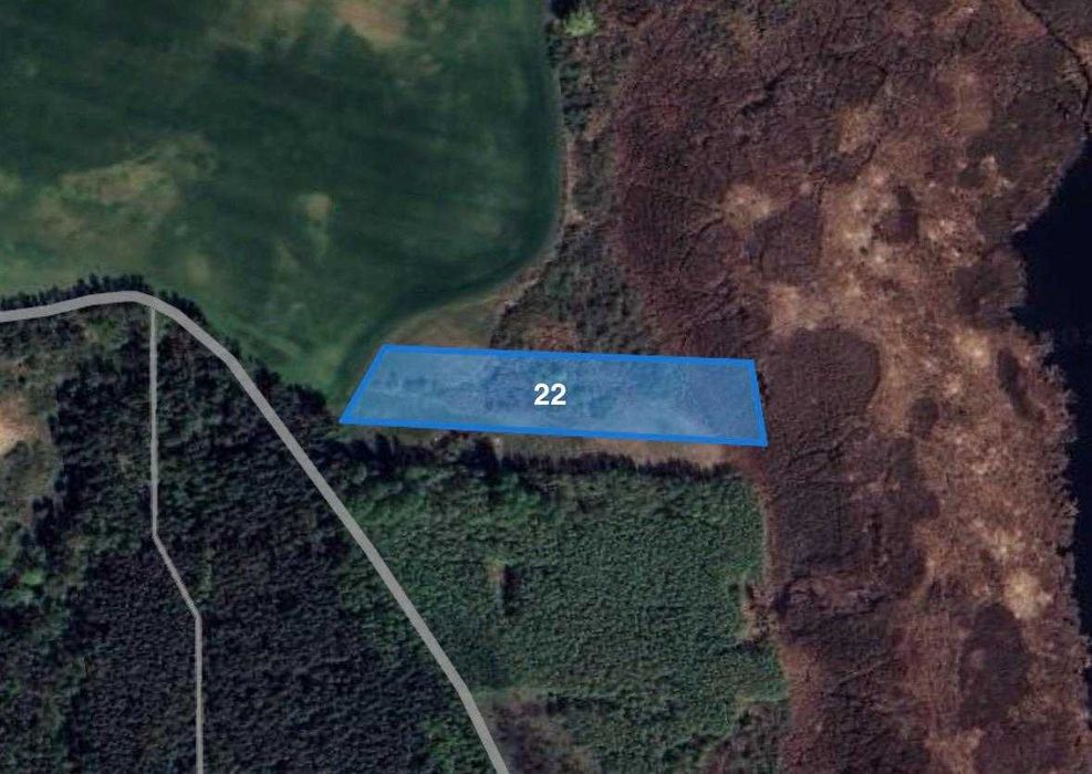 Łąka w Rgielsku gm. Wągrowiec