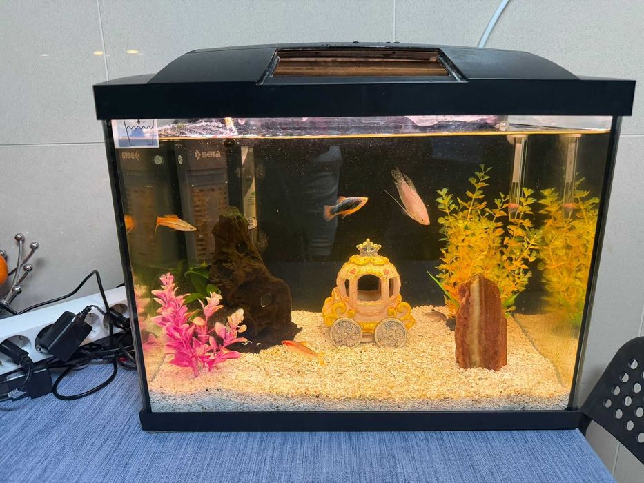 Aquário SUPERFISH START 50 TROPICAL completamente autônomo