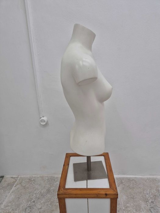 Busto mulher - Mais bustos disponíveis
