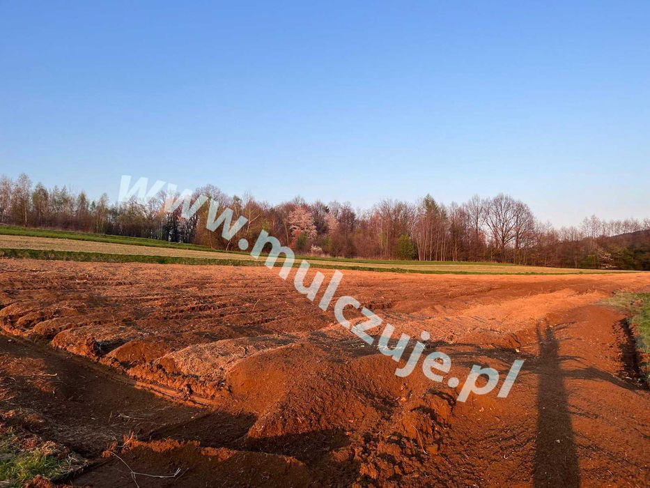 Rekultywacja Mulczer leśny wgłębny Karczowanie działek wycinka drzew