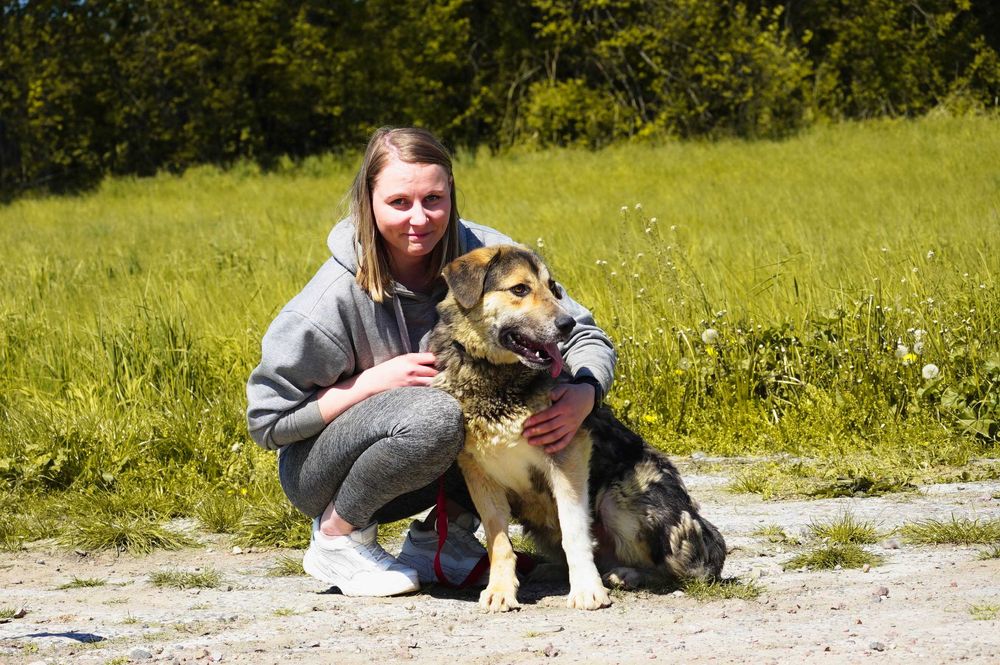 Dobosz - duży, fajny pies do adopcji