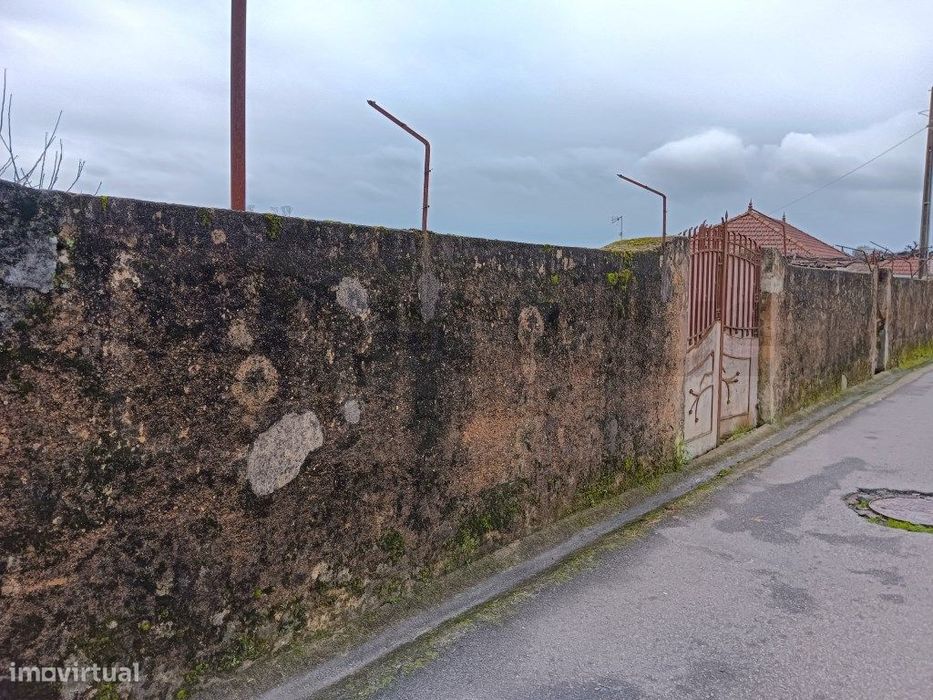 Terreno para Venda - Albergaria -a - Velha / Branca