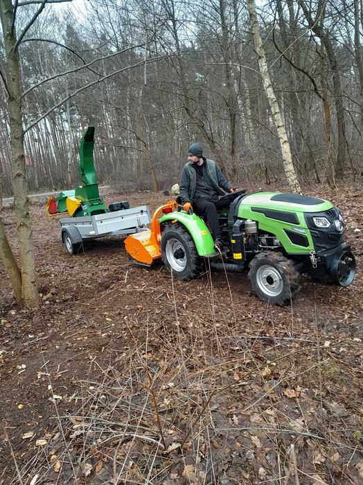 BEZPIECZNA Wycinka i Pielęgnacja Drzew | DOŚWIADCZONY Arborysta