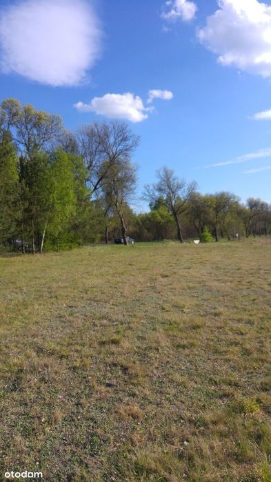Sprzedam Działkę 11 608 m² z WZ ! pod lasem.