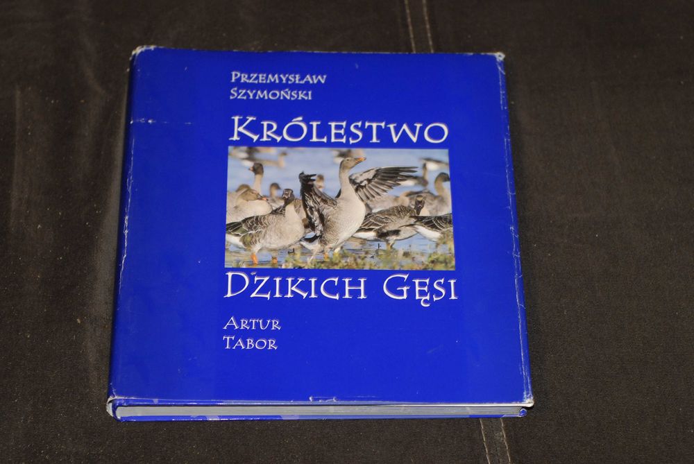 Kraina Dzikich Gęsi Artur Tabor