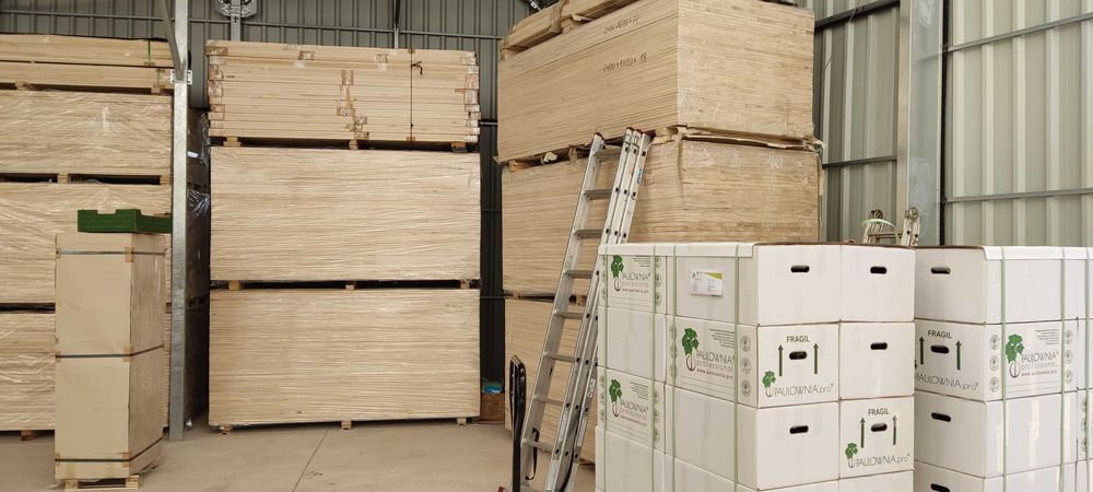 Paulownia Híbrida Turbo Pro torrão de raiz no vaso 600ml