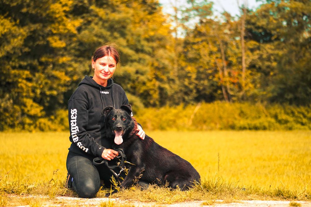 Verano super miły psiak czeka na dom
