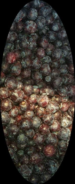 Голубика ягода Лохина