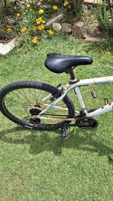 Bicicleta de cidade