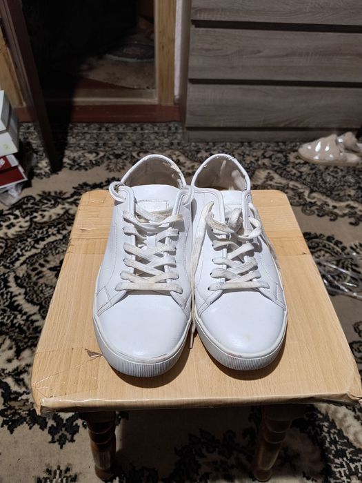 Кеды.        Albo