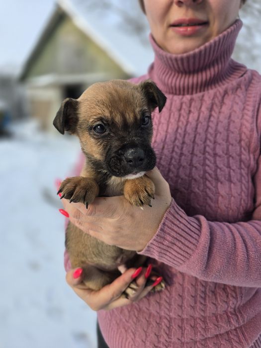 Хлопчики в добрі ручки!