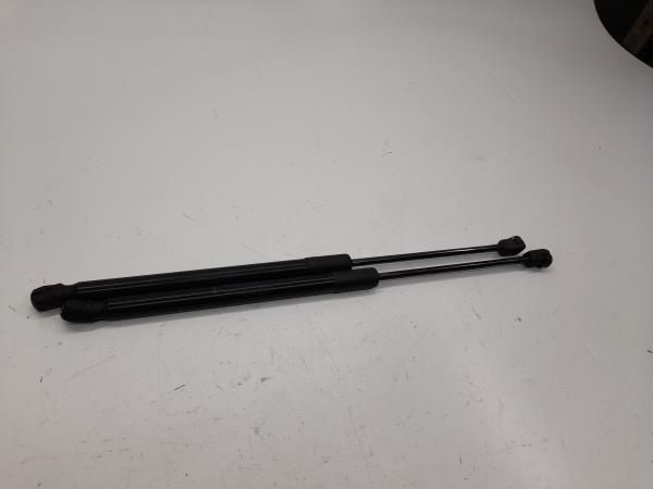 Amortecedor da mala RENAULT Clio III Grandtour (KR0/1_)