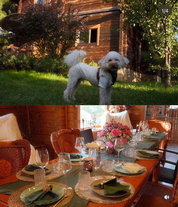 Дом зі спа-чаном Vysokyi Magic house |Харків |Тераса| Спальня| Кухня