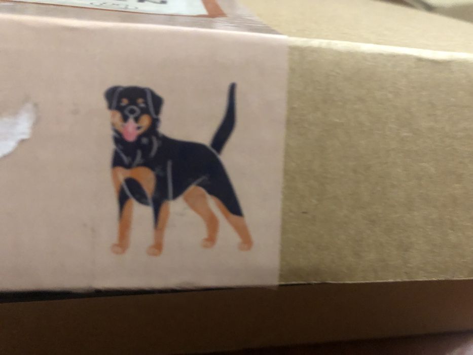 Трусики багаторазові.Підгузки для великих собак в період тічки