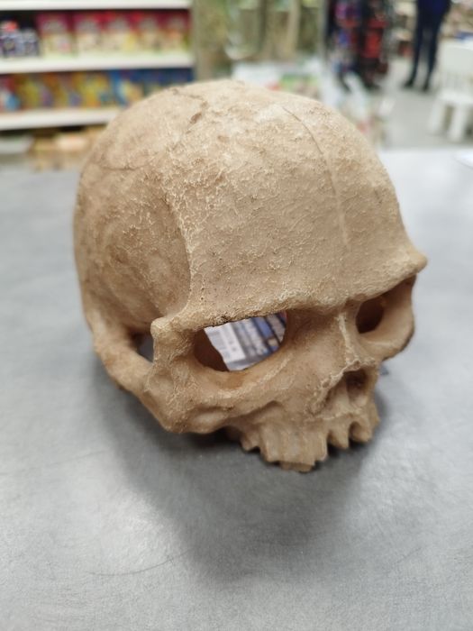 Ozdoba Terrorystyczna Czaszka Kryjówka MASSON