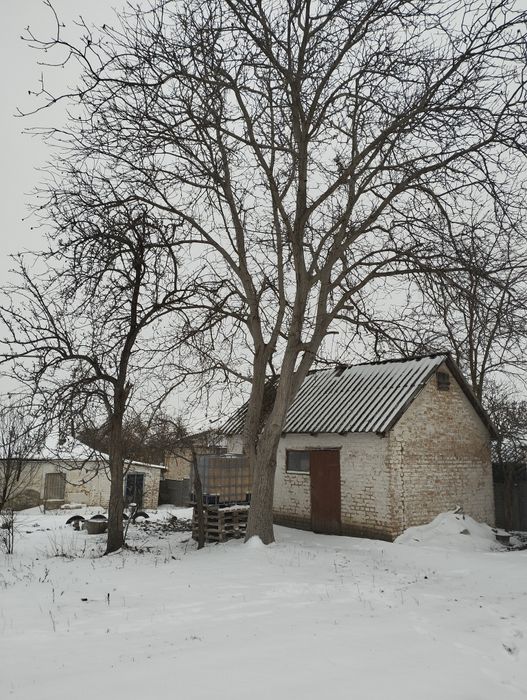 Зрізання Аварійних дерев