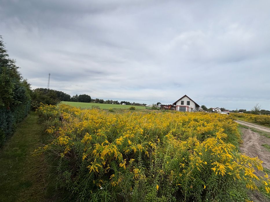 Działka budowlana Boruja Kościelna 900m WARUNKI ZABUDOWY – pohled 4