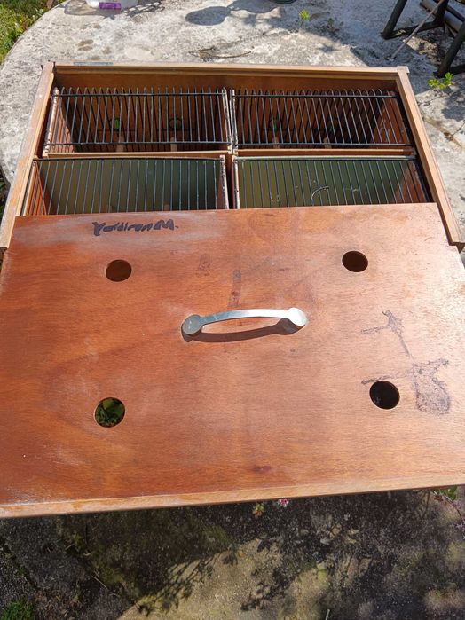 Transportadora pássaro