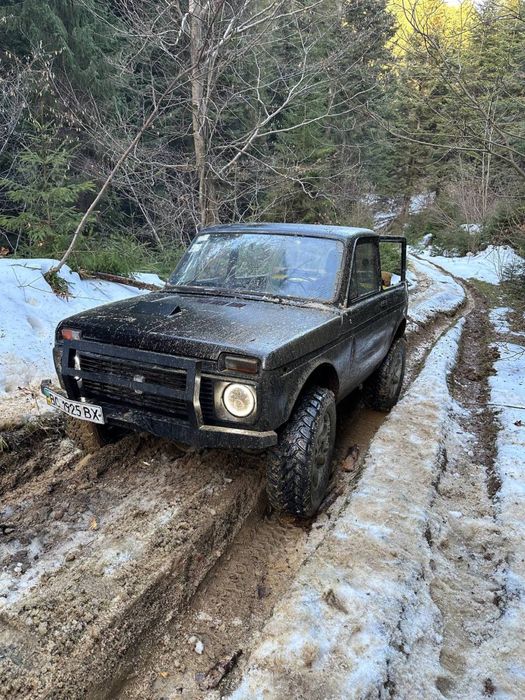 Продам ниву підготовлену для лісу