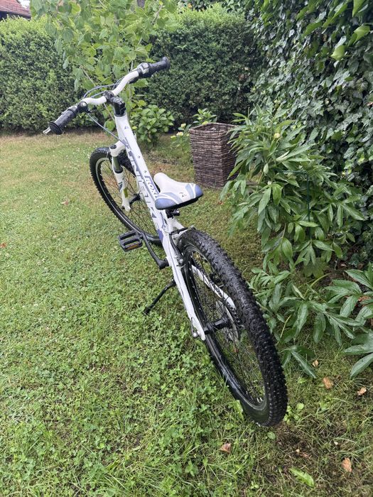 Rower Unibike Roxi 24x11