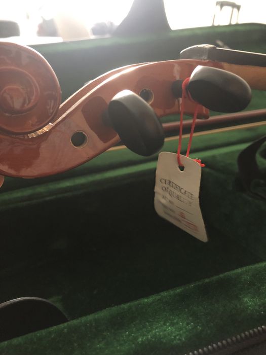 New violin with all parts64175794990851121