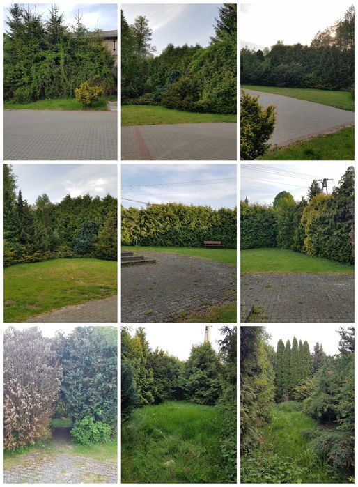 Sprzedam, działkę 14 arów,budynek 84m²,gospodarczy 60m², ogród ogrodz. - Widok 5