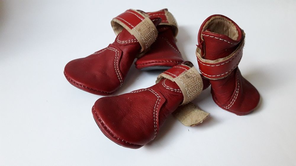 NOWE buty ze skóry naturalnej dla psa / czworonoga