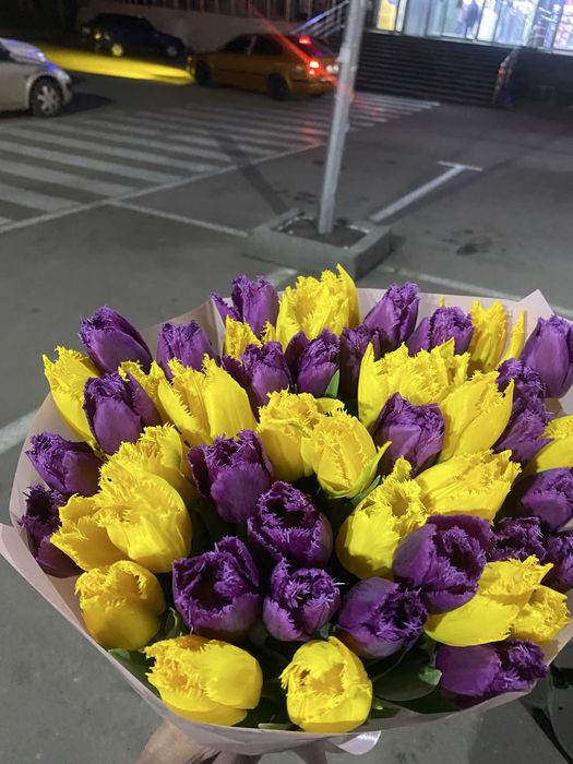 Тюльпан 35 грн, есть опт.