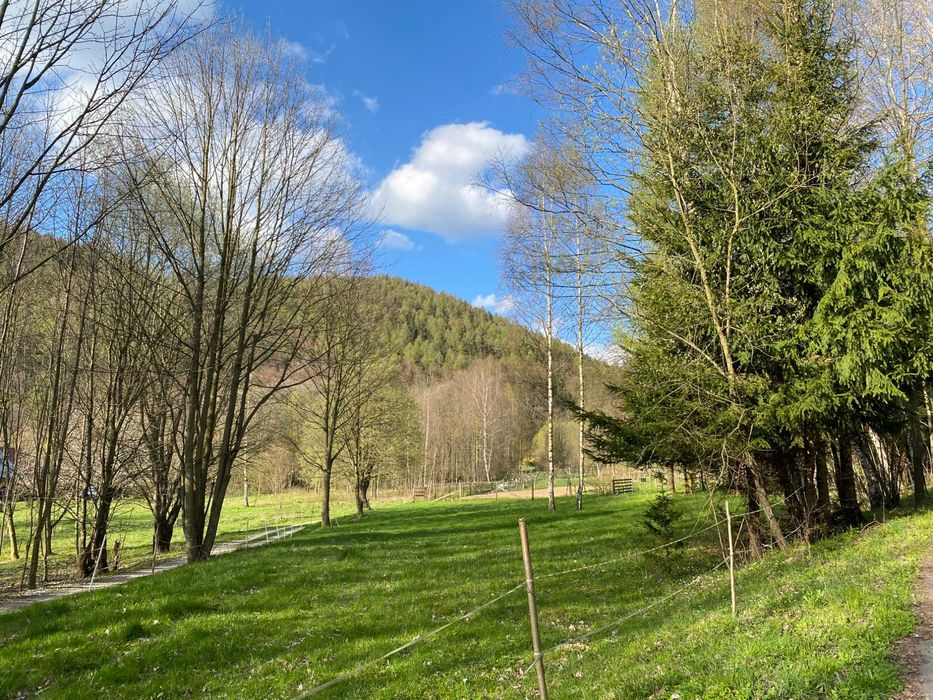 Działka budowlana Nowa Wieś - Widok 2