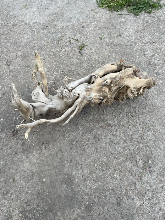 Коряга в аквариум