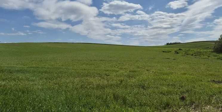 Dzialka Rolno-Lesna-Woda  9,5 ha